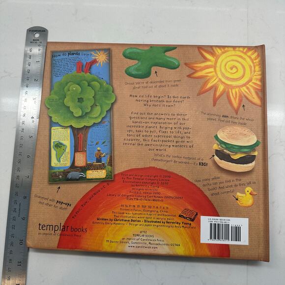 How the World Works: A Hands-On Guide to Our Amazing Planet (Explore the Earth) - Picture 4 of 13